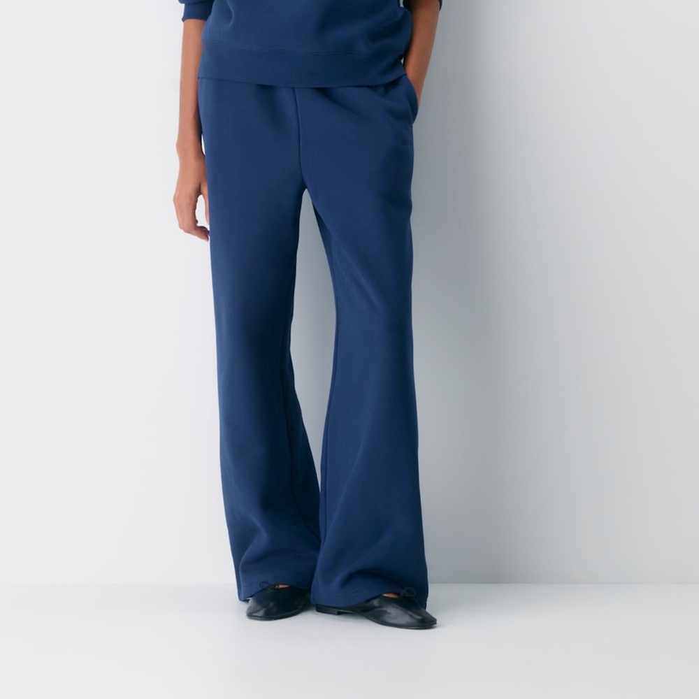 Women's Aritzia Sweatfleece Blue Pants